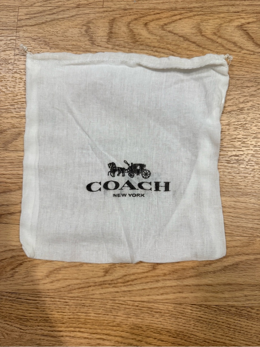 Coach Pouch bag